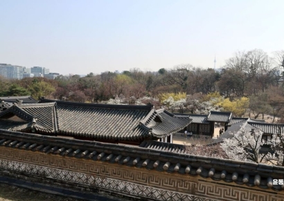 창덕궁·경복궁 탐방 횟수 늘리고 국립공원서 '안전배낭' 무료대여