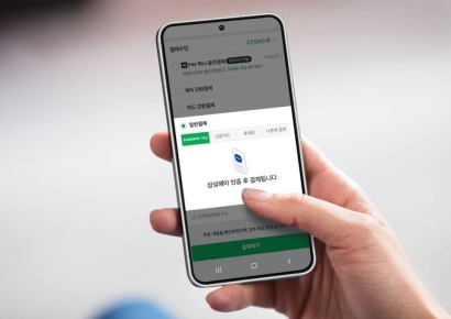 포용금융 vs 연체관리, 소액후불결제에 페이3사 '딜레마'