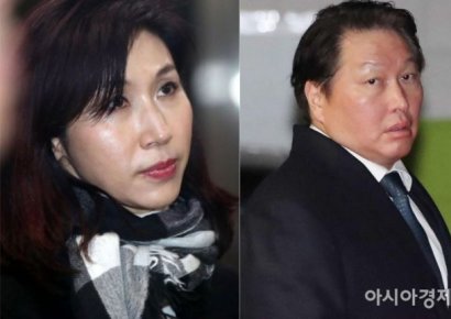 "극심한 정신적 고통"…노소영, 최태원 SK회장 동거인에 30억 위자료 소송(종합)