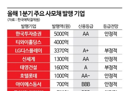 [자금조달 우회로]②공모채 발행 어려운 기업들 사모채 의존