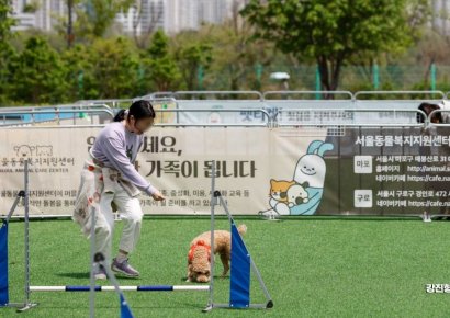 "세계서 가장 외로운 나라 한국"…산부인과 사라지고, 동물병원 들어섰다