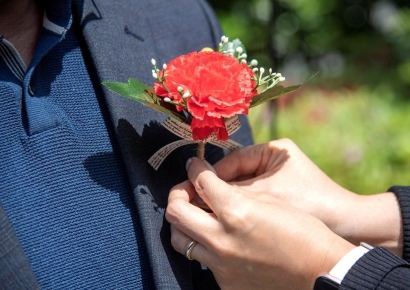 "국산 카네이션 아니네"…화훼 원산지 표시위반 80곳 적발