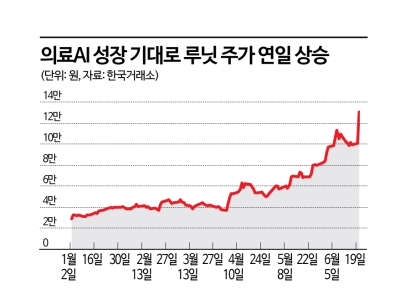 해외서 인정한 의료 AI株…성장성 앞세워 몸값 높인다