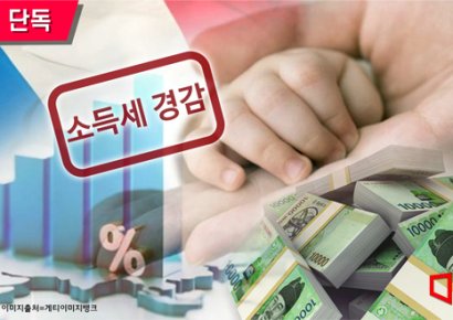 [단독]다둥이 엄빠, 소득세 '획기적' 경감…與 'N분의 N승' 프랑스 저출산 대책 추진