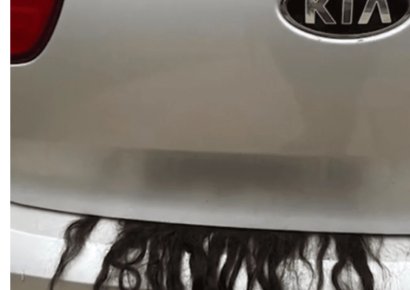"트렁크 안에 여자 머리카락이?"…美 경찰까지 출동한 의문의 차
