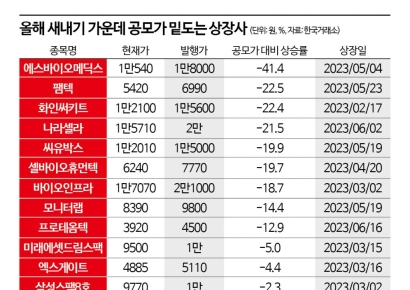 ‘따따블’ 외치는 IPO 시장, 스팩까지 급등락…투기판 우려