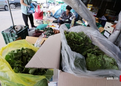 장마·폭염에 '풀' 죽은 밥상…상추값 한 달새 두 배