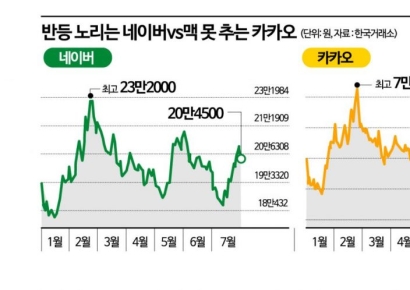 반등 노리는 네이버 vs 지지부진한 카카오…희비 엇갈린 주가