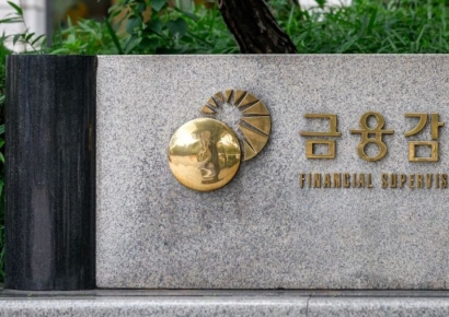 11월 주식 발행 656% 급증…에코프로머티 IPO·한화오션 유상증자 영향