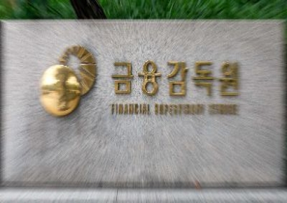 금감원, 보험사 책임준비금·지급여력제도 관련 제도개선 
