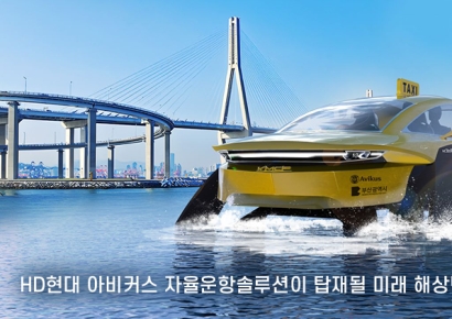 "330조원 시장 잡아라"…규제 풀어 '바다위 테슬라' 키운다