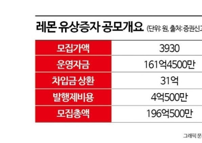 마스크로 잘나갔던 '레몬', 재무구조 악화에 200억 유상증자
