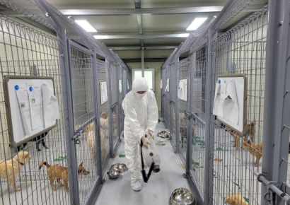 서산 육용오리 농장서 H5형 조류인플루엔자 항원 확인…이동통제·살처분 등 긴급방역