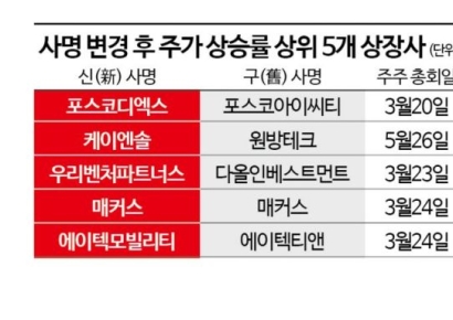 회사명에 '디지털대전환(DX)' 붙이니 주가 330% 급등…"실적호조 뒷받침돼야"