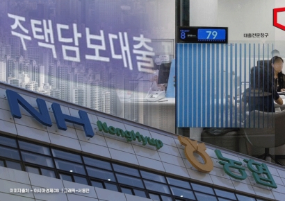 "주택구입 주담대, 생활자금 대환 땐 주택 추가매수 불가"