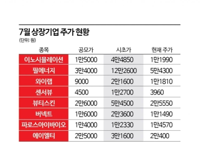 [IPO 개편 2개월]②단타 세력 빠지며 반짝 오른 주가도 제자리