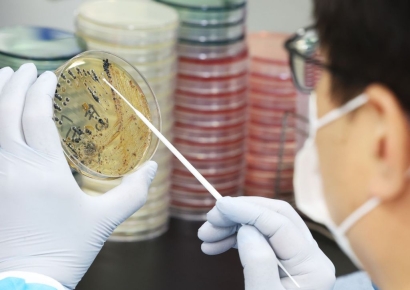 전북 남원 초중고 1000여명 식중독 증세…"김치서 노로바이러스"