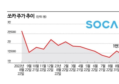 쏘카 2대주주 노리는 롯데렌탈, 독과점·고가 인수 논란에 휩싸여