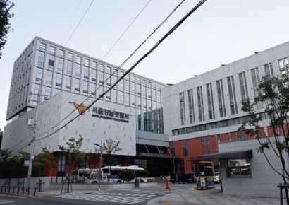 대낮에 전신주 들이받아…강남 '마약운전' 20대 체포