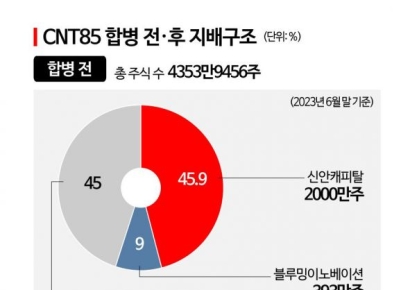 [지배구조]CNT85, 신안그룹 인스빌 합병…박순석 일가 지분 늘어