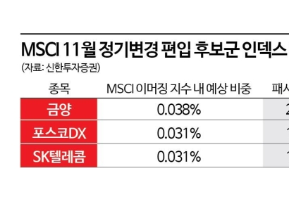 11월 MSCI 정기변경…주목할 편입 후보 종목은