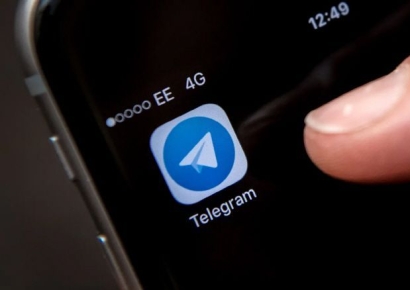 동탄 '보복대행' 범죄 용의자 20대女 체포…"텔레그램으로 지시 받아"