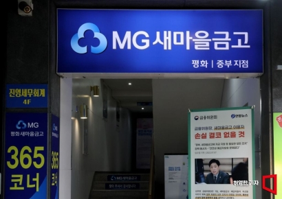 [단독]새마을금고 '쇄신' 집중… 행안부, 혁신지원단 6개월 연장