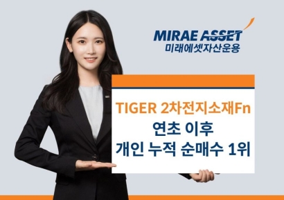 TIGER 2차전지소재Fn ETF, 연초 후 개인 누적순매수 1위