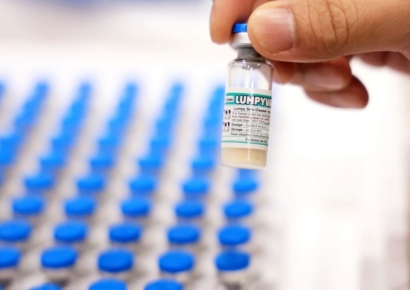 럼피스킨 백신 접종, 2026년 이후 '농가 자율' 전환…살처분 대상 축소도 추진