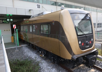 "어지럽고 숨 못 쉬어"…지옥철 타던 승객들 잇달아 쓰러져