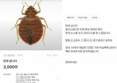 "빈대 삽니다, 층간소음 윗집에 풀어 혼쭐 내려고요"