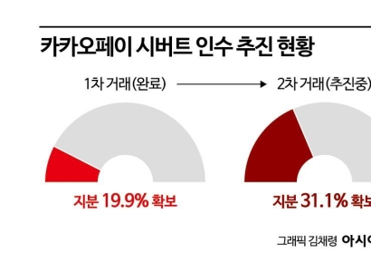 카카오, 해외 M&A까지 막혔다…그룹 리스크 현실화
