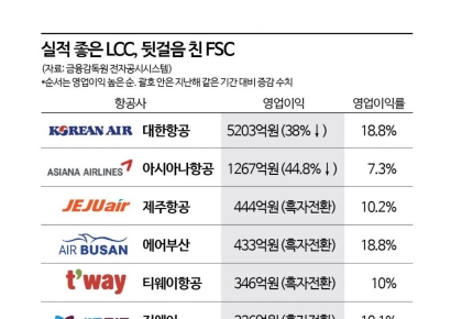 역대 최대 실적 LCC, 타격받은 FSC…이유는