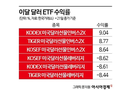 弱달러에 하락에 베팅하는 '곱버스' 달러 ETF 초강세