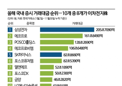 올해 증시 거래대금, 이차전지株가 반도체株 눌렀다