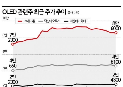 애플이 또 구세주 될까…반등하는 디스플레이株