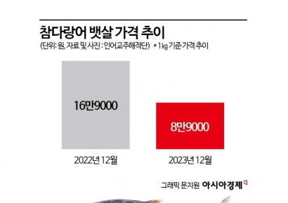 "연말엔 통뱃살 참치회·초밥 파티"…참다랑어값 '반토막' 