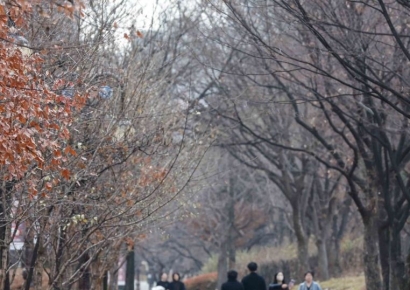 여의도공원 재구조화 사업, 행안부 중앙투자심사에서 발목