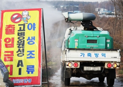 '국내발병 조류AI, 인체감염 가능해'