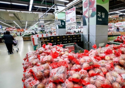 [포토]이상기후 여파, 치솟는 제철 과일값