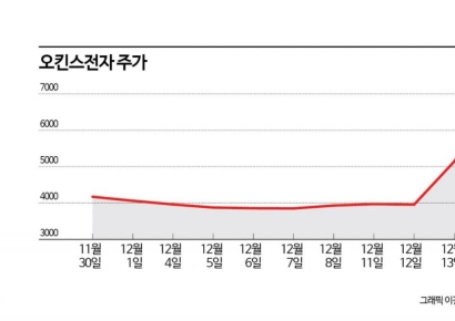 HBM 이을 차세대 기술 'CXL'…오킨스전자·네오셈 등이 기대