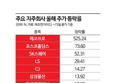 만년 디스카운트 받던 지주사 주가 빛보나