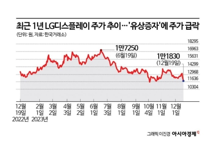 LG디스플레이, '상장 후 첫 유상증자'에 신저가 직행