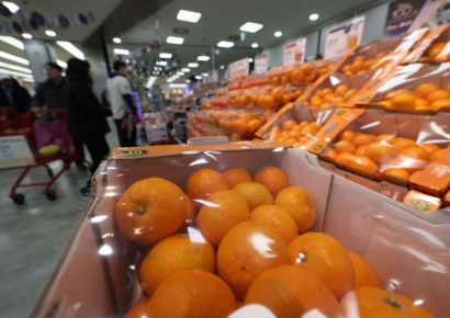 "마트서 귤·딸기 사려다 깜짝"…폭염, 겨울 물가까지 영향