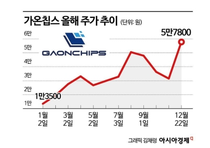 [이 주의 관.종]AI에 자동차까지…지속 성장할 가온칩스