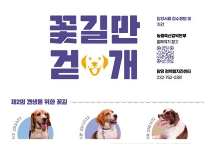"은퇴한 검역탐지견의 새로운 가족을 찾습니다"…민간 입양 시작