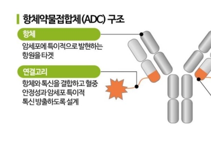 [클릭 e종목]"알테오젠, 키트루다 SC제형 美임상 3상 성공 추정"