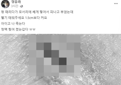 "멍 때리다 피나고 부어, 헬기 태워달라" 정유라 논란 가세