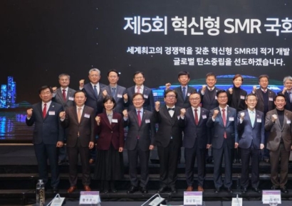 "2030년대 소형모듈원전 세계 톱3 달성…인허가 제도 개선해야"