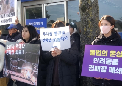 반려동물 번식 공장 금지…'한국판 루시법'에 쏠리는 눈